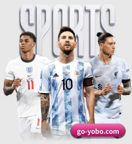 yobo体育 APP